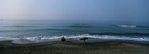 Surfer sur les côtes japonnaises. © Philip Plisson / Plisson La Trinité / AA06953 - Nos reportages photos - Vague