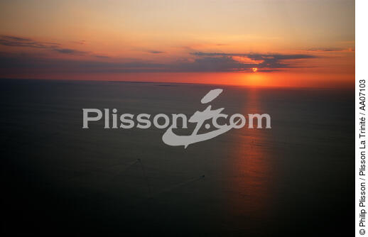Départ pour la pêche à la sardine au coucher de soleil. - © Philip Plisson / Plisson La Trinité / AA07103 - Nos reportages photos - La pêche à la sardine