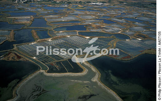 Saliculture à Guérande. - © Philip Plisson / Plisson La Trinité / AA07105 - Photo Galleries - Salt marshes