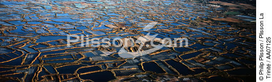 Les marais salants de Guérande. - © Philip Plisson / Plisson La Trinité / AA07125 - Photo Galleries - Salt marshes