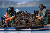 Pêcheurs de homards. © Philip Plisson / Plisson La Trinité / AA07245 - Nos reportages photos - Métier