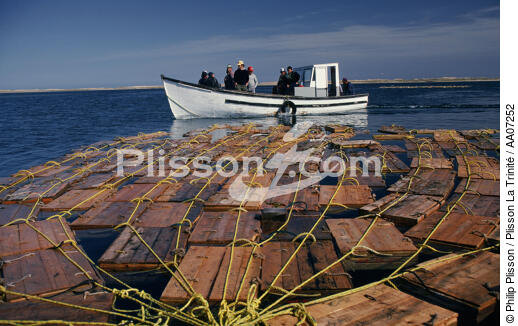 Pêche aux homards. - © Philip Plisson / Plisson La Trinité / AA07252 - Nos reportages photos - Métier