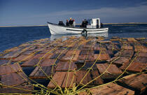 Pêche aux homards. © Philip Plisson / Plisson La Trinité / AA07252 - Nos reportages photos - Pêcheur du monde