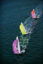 Laser regatta. © Philip Plisson / Plisson La Trinité / AA07317 - Photo Galleries - Laser