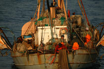 Petite pêche sur les côtes greques. © Philip Plisson / Plisson La Trinité / AA07841 - Nos reportages photos - Grèce