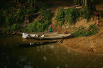 Pirogues sur les rives du canal de Panama. © Philip Plisson / Plisson La Trinité / AA07985 - Nos reportages photos - Pirogue