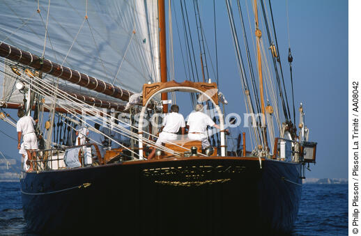 Shenandoah. - © Philip Plisson / Plisson La Trinité / AA08042 - Photo Galleries - Three-masted schooner