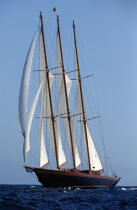 Le trois mâts goélette Créole. © Philip Plisson / Plisson La Trinité / AA08044 - Photo Galleries - Three-masted schooner