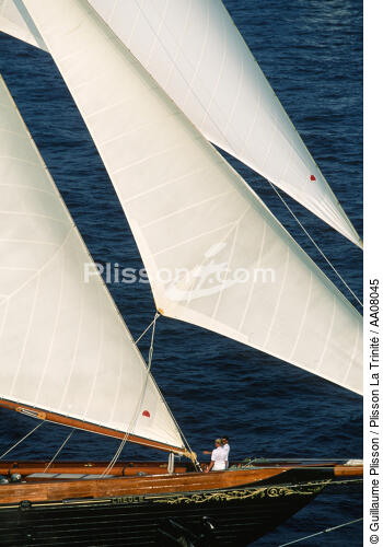 Le trois mâts goélette Créole. - © Guillaume Plisson / Plisson La Trinité / AA08045 - Photo Galleries - Three-masted schooner