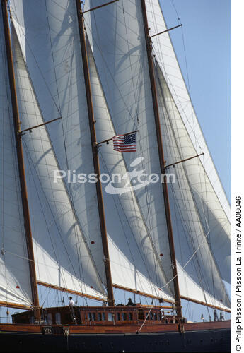 Le trois mâts goélette Créole. - © Philip Plisson / Plisson La Trinité / AA08046 - Photo Galleries - Three-masted schooner