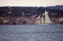 Saint-Tropez pendant la Nioulargue. © Philip Plisson / Plisson La Trinité / AA08057 - Photo Galleries - Yachting