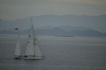 Voilier sur la côte norvégienne. © Philip Plisson / Plisson La Trinité / AA08236 - Photo Galleries - Yachting