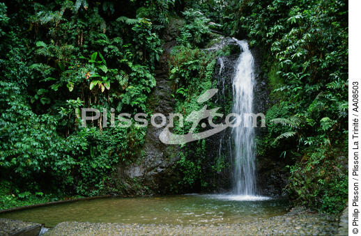 La cascade du Saut du Gendarme à la Martinique. - © Philip Plisson / Plisson La Trinité / AA08503 - Nos reportages photos - Antilles [Les]