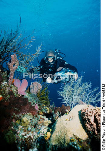 En plongée avec Albert Falco. - © Philip Plisson / Plisson La Trinité / AA08512 - Photo Galleries - West indies [The]