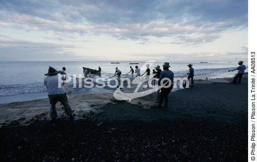 Pêche à la senne au Carbet. - © Philip Plisson / Plisson La Trinité / AA08513 - Nos reportages photos - Antilles [Les]