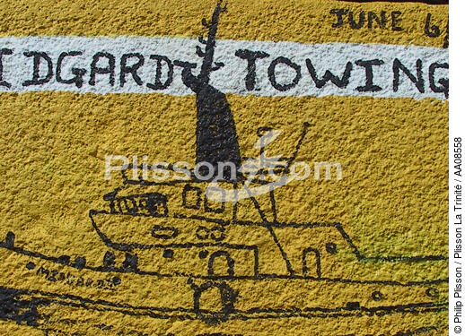 Inscription dans le bassin de radoub du port de Fort-de-France. - © Philip Plisson / Plisson La Trinité / AA08558 - Nos reportages photos - Chantier Naval