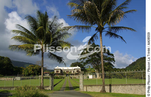 La distillerie Depaz à la Martinique. - © Philip Plisson / Plisson La Trinité / AA08559 - Photo Galleries - Art and Crafts