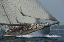 Mariquita pendant les Voiles de St Tropez 2004. © Philip Plisson / Plisson La Trinité / AA08568 - Photo Galleries - Yachting