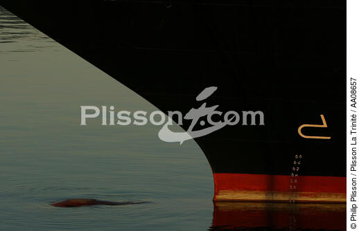L'étrave ou les secrets d'une dévoreuse de milles. - © Philip Plisson / Plisson La Trinité / AA08657 - Nos reportages photos - Elément d'un bateau
