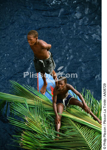 Transport de palmes de coco sur une barque. - © Philip Plisson / Plisson La Trinité / AA08729 - Nos reportages photos - Cocotier