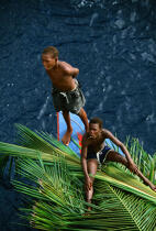 Transport de palmes de coco sur une barque. © Philip Plisson / Plisson La Trinité / AA08729 - Photo Galleries - Child