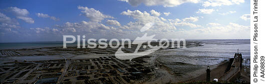 La Baie de Cancale. - © Philip Plisson / Plisson La Trinité / AA08839 - Nos reportages photos - Marée basse
