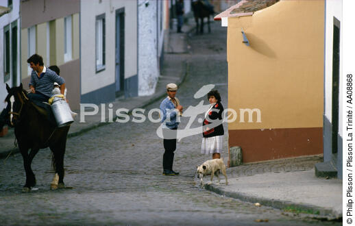 Scène de rue aux Açores. - © Philip Plisson / Plisson La Trinité / AA08868 - Nos reportages photos - Chien