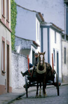 Scène de rue aux Açores. © Philip Plisson / Plisson La Trinité / AA08882 - Photo Galleries - Portugal