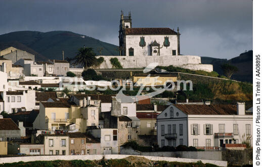 Au nord de Sao Miguel. - © Philip Plisson / Plisson La Trinité / AA08895 - Photo Galleries - Azores [The]