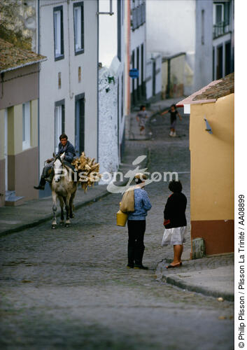 Scène de vie aux Açores. - © Philip Plisson / Plisson La Trinité / AA08899 - Photo Galleries - Azores [The]