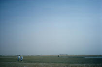 Mauritanie. © Philip Plisson / Plisson La Trinité / AA08904 - Photo Galleries - Chromy