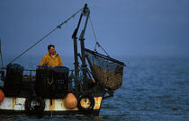Pêche à la coquille. © Philip Plisson / Plisson La Trinité / AA08954 - Photo Galleries - Professional fisherman