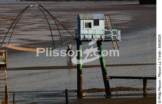 Cabane de pêche sur la Loire. - © Philip Plisson / Plisson La Trinité / AA09024 - Nos reportages photos - Rivière