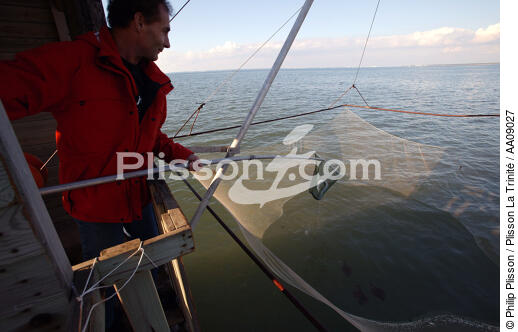 Pêche au carrelet sur la Loire. - © Philip Plisson / Plisson La Trinité / AA09027 - Nos reportages photos - Loire [la]