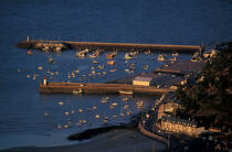 Le port d'Erquy. © Philip Plisson / Plisson La Trinité / AA09046 - Nos reportages photos - Bateau de pêche