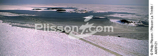 Brise-glace en Mer Baltique. - © Philip Plisson / Plisson La Trinité / AA09121 - Photo Galleries - Icebreaker