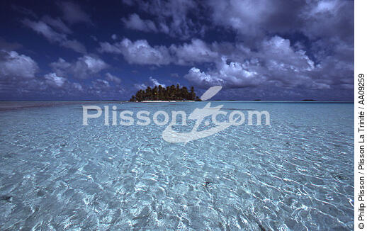 Polynésie française. - © Philip Plisson / Plisson La Trinité / AA09259 - Photo Galleries - Flora