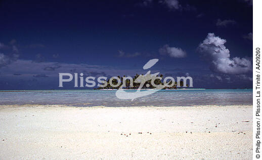 Polynésie française. - © Philip Plisson / Plisson La Trinité / AA09260 - Nos reportages photos - Arbre