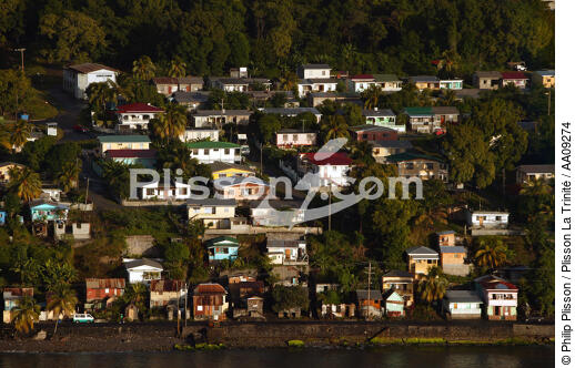 L'île de la Dominique. - © Philip Plisson / Plisson La Trinité / AA09274 - Nos reportages photos - Dominique [la]