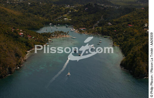 Sainte-Lucie. - © Philip Plisson / Plisson La Trinité / AA09309 - Nos reportages photos - Antilles [Les]