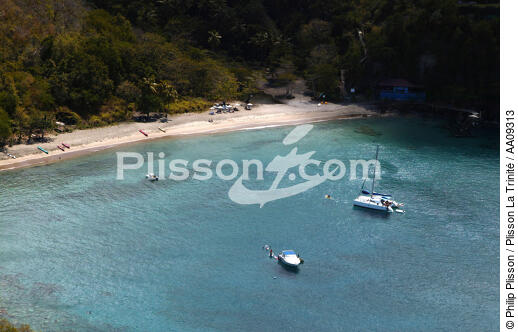 Sainte-Lucie. - © Philip Plisson / Plisson La Trinité / AA09313 - Photo Galleries - Cruising catamaran