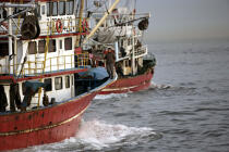 Bateau de pêche dans le port d'Istanbul. © Philip Plisson / Plisson La Trinité / AA09397 - Nos reportages photos - Marin-pêcheur