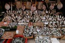 Marché aux poissons à Istanbul. © Philip Plisson / Plisson La Trinité / AA09405 - Nos reportages photos - Poisson