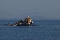 Bateau de pêche dans le Golfe de Patra. © Philip Plisson / Plisson La Trinité / AA09502 - Nos reportages photos - Grèce