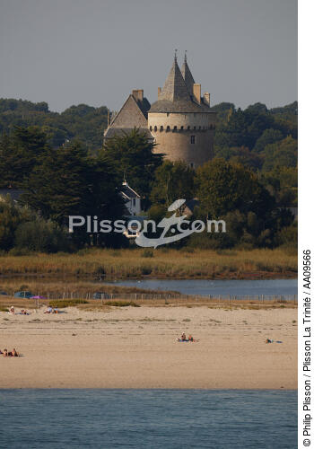 Le chateau de Suscinio. - © Philip Plisson / Plisson La Trinité / AA09566 - Nos reportages photos - Arbre