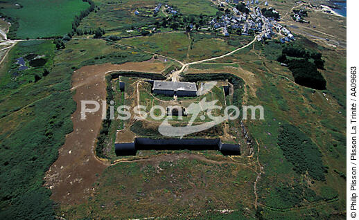 Le Fort d' Hoëdic. - © Philip Plisson / Plisson La Trinité / AA09663 - Nos reportages photos - Herbe