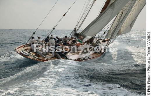 Mariquita during the Voiles of St Tropez. - © Philip Plisson / Plisson La Trinité / AA09804 - Photo Galleries - J Class yacht