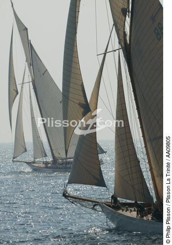 Mariquita durant les Voiles de St Tropez. - © Philip Plisson / Plisson La Trinité / AA09805 - Nos reportages photos - Class J