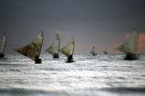 Jangadas en pêche. © Philip Plisson / Plisson La Trinité / AA09985 - Nos reportages photos - Brésil