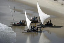 Jangadas sur le sable brésilien. © Philip Plisson / Plisson La Trinité / AA10014 - Nos reportages photos - Brésil